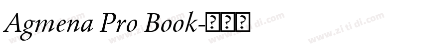 Agmena Pro Book字体转换